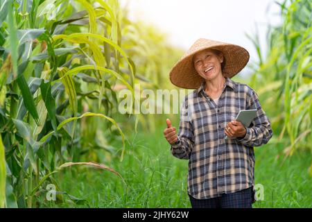 Asiatische glückliche Frauen in Bio-Mais oder Maisfeld, Landwirt lächeln und halten Tablette verwenden Technologie in Maisfeld. Landwirtschaftliche Produkte Online-Verkauf con Stockfoto