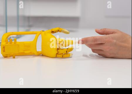 Frauenhand und eine Kunststoff-Handprothese für ein Kind auf weißem Hintergrund. Stockfoto