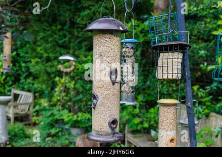 Mehrere Vogelfutterhäuschen hängen im Garten eines Hauses im Vorort Surrey, Südostengland Stockfoto