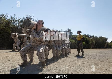 San Diego, Usa. 18. Juli 2022. Weibliche US-Marineinfanterinnen rekrutieren bei der Golf Company, 2. Rekrut Training Bataillon, führen Kniebeugen mit einem 250-Pfund-Log als Team während des Bootcamps im Marine Corps Recruit Depot San Diego, 18. Juli 2022 in San Diego, Kalifornien, durch. Kredit: Cpl. Tyler W. Abbott/USA Marines/Alamy Live News Stockfoto