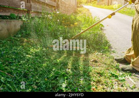 Der kabellose Gartentrimmer mäht das Gras in der Nähe des Zauns Stockfoto