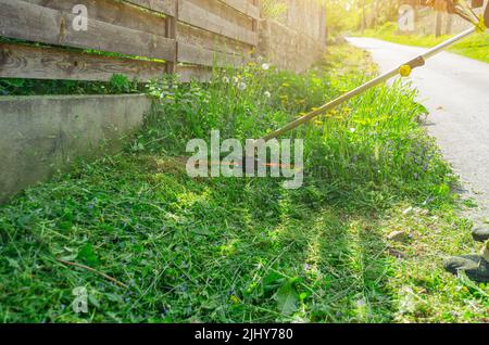 Der kabellose Gartentrimmer mäht das Gras in der Nähe des Zauns Stockfoto