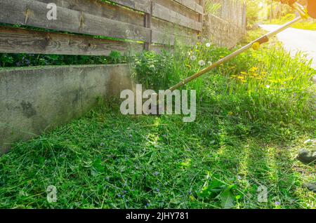 Der kabellose Gartentrimmer mäht das Gras in der Nähe des Zauns Stockfoto