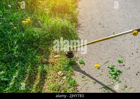 Der kabellose Gartentrimmer mäht das Gras in der Nähe des Zauns Stockfoto