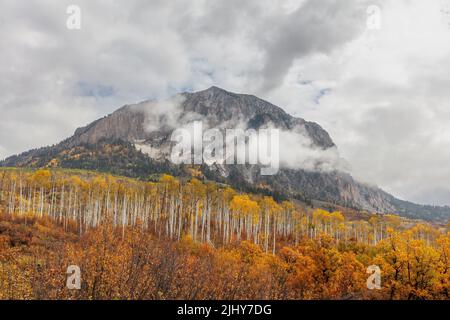 Marcellina Mountain mit quakender Espe im Herbst, Kebler Pass Road, Gunnison National Forest, Colorado Stockfoto