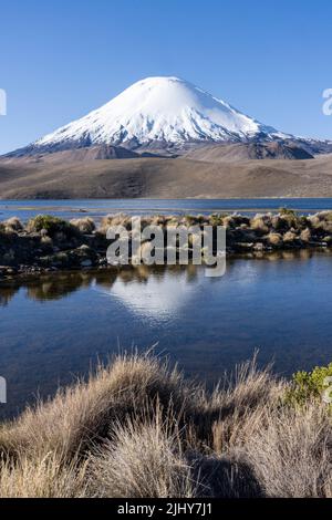 Der Vulkan Parinacota spiegelte sich im Chungara-See im Lauca-Nationalpark auf dem hohen andenaltiplano im Norden Chiles wider. Stockfoto