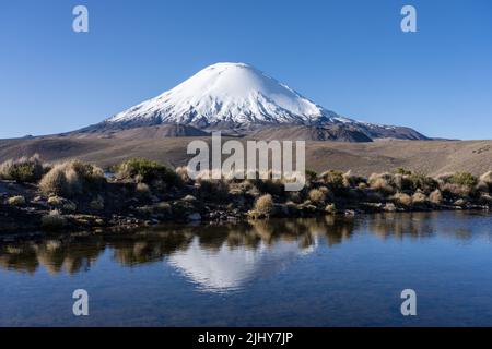 Der Vulkan Parinacota spiegelte sich im Chungara-See im Lauca-Nationalpark auf dem hohen andenaltiplano im Norden Chiles wider. Stockfoto