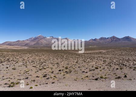 Der Vulkan Taapaca und der Nevados de Putre (links) und der Cerros de Ancoma (rechts) im Nationalpark Lauca in Chile. Stockfoto