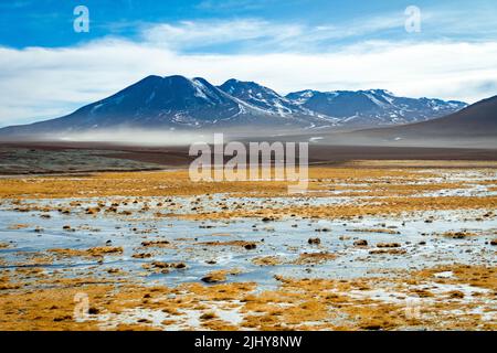 Ein schöner Blick auf den Geysir El Tatio über Feuchtgebiete unter einem blau bewölkten Himmel in Chile Stockfoto