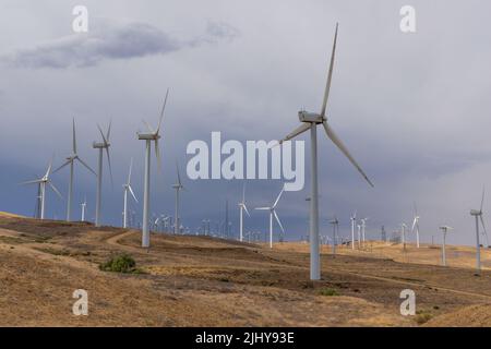 Windturbinen in Tehachapi Pass Windpark, Kalifornien Stockfoto