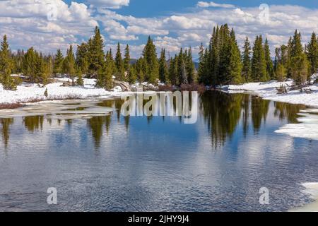 Beartooth Creek vom Beartooth Highway aus im Frühjahr, Shoshone National Forest, Wyoming Stockfoto