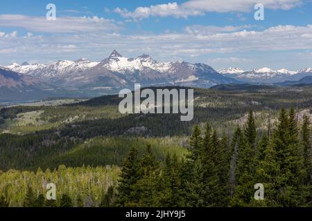 Blick auf den Pilot Peak und den Index Peak in der Absaroka Range aus einer Sicht auf den Beartooth Highway, Wyoming Stockfoto