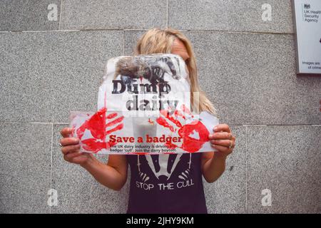 London, England, Großbritannien. 21.. Juli 2022. Ein Protestler hält ein Schild, das die Milchindustrie mit dem Dachsausschrott verbindet. Aktivisten versammelten sich vor dem DEFRA (dem Ministerium für Umwelt, Ernährung und ländliche Angelegenheiten), um gegen die anhaltende Dachsausrottung zu protestieren, die Teil der Politik der britischen Regierung gegen die Ausbreitung von Rindertuberkulose ist. Wissenschaftler und Aktivisten bestehen darauf, dass die Tötung der Wildtiere unnötig, grausam und ineffektiv gegen die Ausbreitung von RinderTB ist. (Bild: © Vuk Valcic/ZUMA Press Wire) Stockfoto