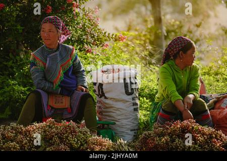 BAC ha, Vietnam - 7. Juli 2019 : Hmong-Frauen verkaufen Vetgetable in Bac Ha Markt, Nordvietnam. BAC Ha ist ein Markt für Bergstämme, auf dem die Menschen zu t kommen Stockfoto