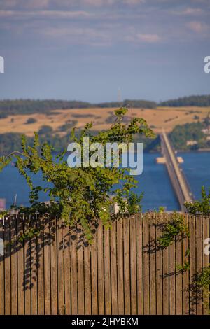 Dundee, Großbritannien. Juni 2022. Blick auf die Tay Rail Bridge vom Dundee Law, Law Hill im Sommer mit dem Fluss Tay und Fife im Hintergrund. Stockfoto