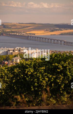 Dundee, Großbritannien. Juni 2022. Blick auf die Tay Rail Bridge vom Dundee Law, Law Hill im Sommer mit dem Fluss Tay und Fife im Hintergrund. Stockfoto