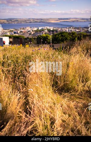 Dundee, Großbritannien. Juni 2022. Blick auf die Tay Rail Bridge vom Dundee Law, Law Hill im Sommer mit dem Fluss Tay und Fife im Hintergrund. Stockfoto