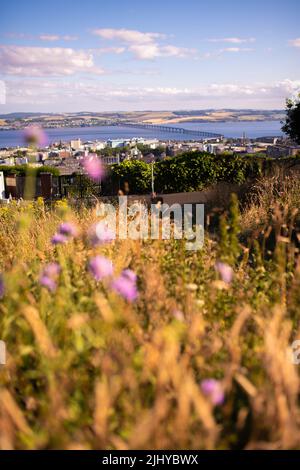 Dundee, Großbritannien. Juni 2022. Blick auf die Tay Rail Bridge vom Dundee Law, Law Hill im Sommer mit dem Fluss Tay und Fife im Hintergrund. Stockfoto