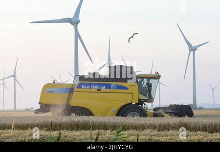 Deutschland, Schleswig Holstein, Gerstenkornernte mit New Holland Mähdrescher, Windturbinen / DEUTSCHLAND, Schleswig Holstein, Reußenkoog, Gerste Getreideernte mit New Holland Mähdresser, Enercon Windkraftanlagen Stockfoto