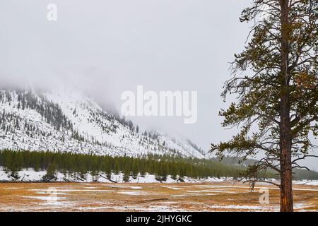 Yellowstone verschneite Berge mit Nebeldecke Stockfoto