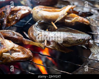 Bild von Wels, die auf einem Rauchprozess, die den Geschmack mehr lecker machen Stockfoto