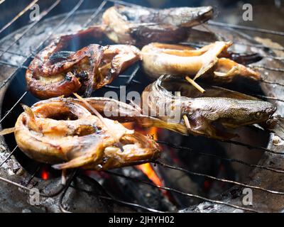 Bild von Wels, die auf einem Rauchprozess, die den Geschmack mehr lecker machen Stockfoto