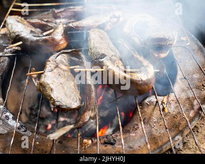 Bild von Wels, die auf einem Rauchprozess, die den Geschmack mehr lecker machen Stockfoto