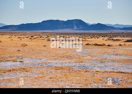 Weißer Sand und gelbes Gras Wüstenebenen durch schwarze Berge Stockfoto