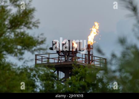 Point of Ayr Gas Terminal, Gas Flare, Wales, Großbritannien. Flare Stapel umgeben von Blättern im Vordergrund Stockfoto