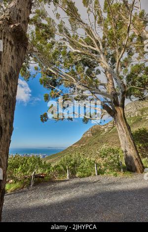 Grüne Bäume auf den Bergen mit blauem Himmel und Meer kopieren Raum. Wunderschöne Naturlandschaft mit wilden einheimischen Pflanzen und Sträuchern, die auf einem wachsen Stockfoto