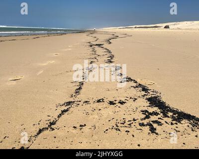 Biscarrosse, Frankreich. 21.. Juli 2022. Asche und verbrannte Holzpartikel waschen sich am Strand von Biscarosse Plage, etwa 80 Kilometer südwestlich von Bordeaux, nachdem sich in der Region früher mehrere Pinsel- und Waldbrände ereignet hatten. Quelle: Holger Mehlig/dpa/Alamy Live News Stockfoto