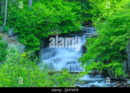 Wasserfall auf einem Cottonwood Creek in den verrückten Bergen in der Nähe von clyde Park, montana Stockfoto