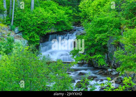 Wasserfall auf einem Cottonwood Creek in den verrückten Bergen in der Nähe von clyde Park, montana Stockfoto