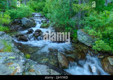 Kaskaden auf einem Cottonwood Creek in den verrückten Bergen in der Nähe von clyde Park, montana Stockfoto