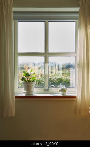 Eine Vase mit frischen Baby-Gummipflanzen, die auf einer Fensterbank mit Platz für Kopien platziert wird. Schöne runde Blätter gegen weiches Sonnenlicht in einem Haus. Grüne Blatttriebe Stockfoto