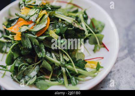 Wildwasser-Salat mit Erbsen und Orangenmimolette Stockfoto
