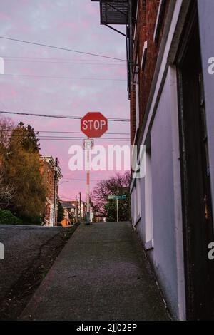 Stoppschild, kein Parkschild bei Sonnenuntergang mit rosa Himmel auf der Bellevue Street im Capitol Hill Viertel von Seattle Stockfoto