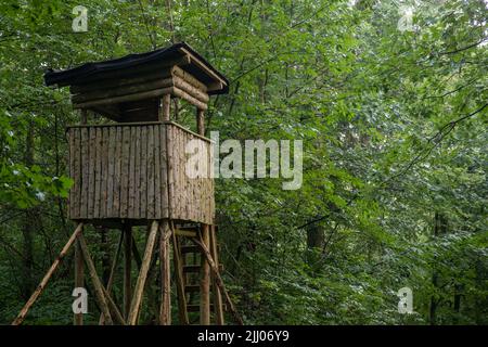 Hoher Sitz eines Jägers im schwarzen Wald. Baumständer, Leiterständer oder Hirschständer. Hirschjagd. Stockfoto