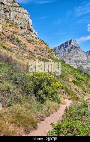 Malerischer Wanderweg entlang des Tafelbergs in Kapstadt, Südafrika, mit lebendigen Blumen und üppigen Pflanzen. Herrliche Panorama einer schönen und Stockfoto