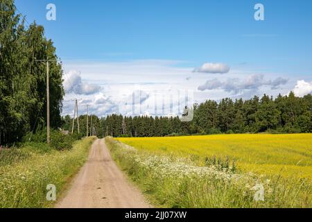 Ländliche Schotterstraße durch Rapsfeld in Orivesi, Finnland Stockfoto