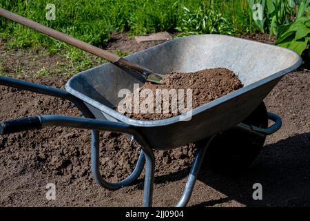 Schaufel und Schubkarre im Garten. Gartenarbeit Stockfoto