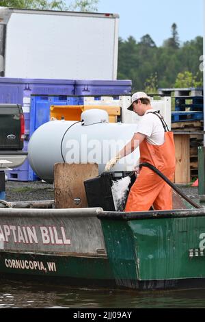 Ein Fischer arbeitet am Dock von Halvarsan Fisheries in Cornucopia, WI am Lake Superior. Stockfoto