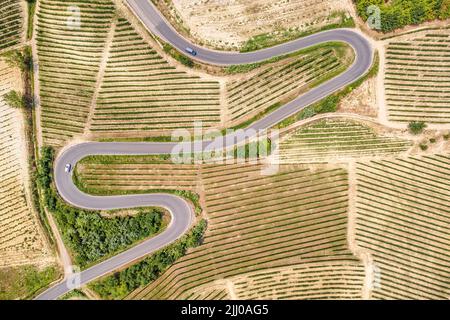 Luftaufnahme der Romantischen Straße der Langhe und Roero zwischen endlosen Landschaften von Weinbergen. Piemont Italien Stockfoto