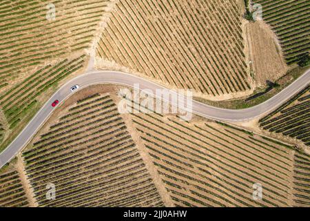 Luftaufnahme der Romantischen Straße der Langhe und Roero zwischen endlosen Landschaften von Weinbergen. Piemont Italien Stockfoto