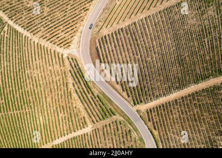 Luftaufnahme der Romantischen Straße der Langhe und Roero zwischen endlosen Landschaften von Weinbergen. Piemont Italien Stockfoto