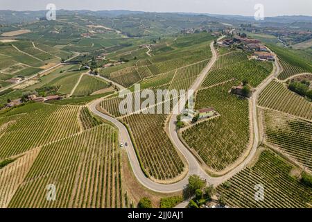 Luftaufnahme der Romantischen Straße der Langhe und Roero zwischen endlosen Landschaften von Weinbergen. Piemont Italien Stockfoto