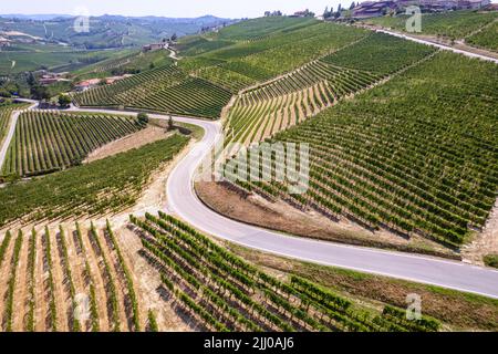 Luftaufnahme der Romantischen Straße der Langhe und Roero zwischen endlosen Landschaften von Weinbergen. Piemont Italien Stockfoto