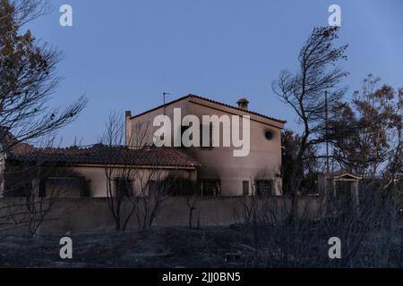 Athen. 21.. Juli 2022. Das am 21. Juli 2022 aufgenommene Foto zeigt ein bei einem Waldbrand verbranntes Haus in den nordöstlichen Vororten von Athen, Griechenland. Die griechische Regierung kündigte am Donnerstag neue Unterstützungsmaßnahmen für von Bränden heimgesuchte Gebiete an, als die Feuerwehrleute mit der Bekämpfung von Wiederauferstehungen kämpften. Quelle: Lefteris Partsalis/Xinhua/Alamy Live News Stockfoto