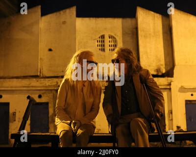 SWINTON, VERLETZT, NUR NOCH LIEBHABER AM LEBEN, 2013 Stockfoto