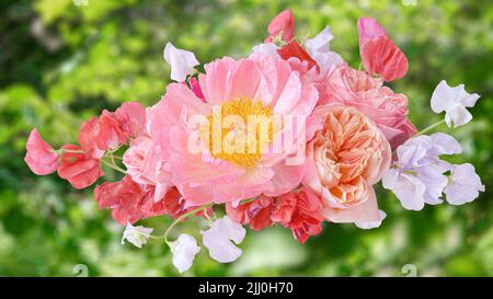 Bouquet von rosa Pfingstrosen und Rosen Nahaufnahme isoliert auf einem grünen Gras verschwommener Hintergrund Stockfoto